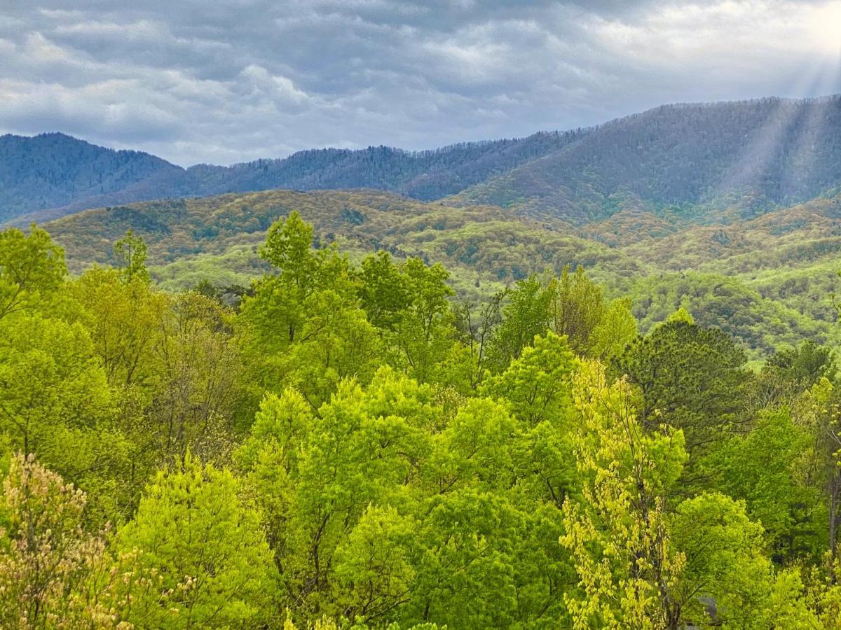 Villa Amazing Views Gatlinburg Camera foto